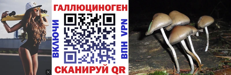 Галлюциногенные грибы мухоморы  магазин продажи   Озёры 